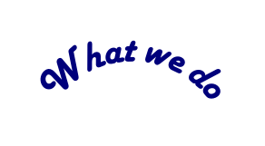What we do